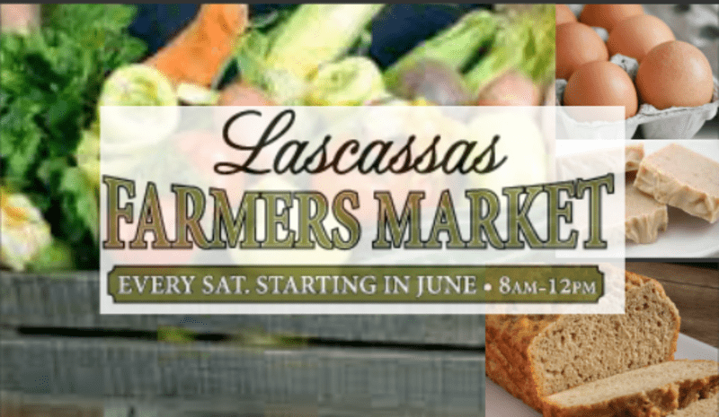 Lascassas Farmers Market Rutherford County Tennessee 8788