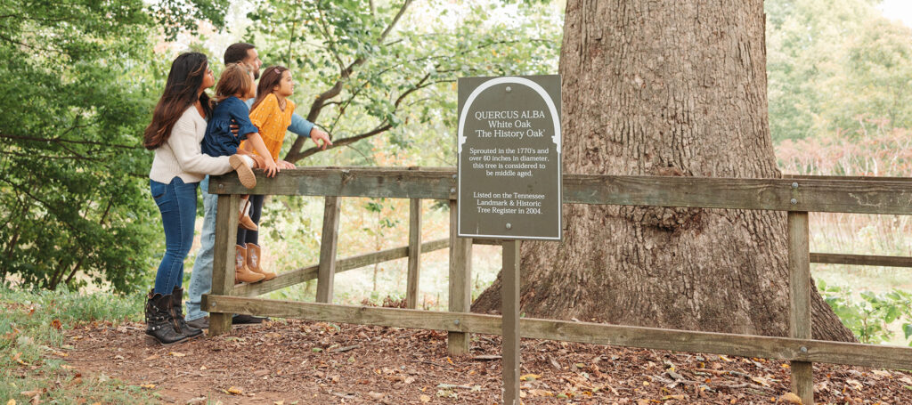 Family on park trail next to a huge oak tree with a sign reading "Quercus Alba White Oak "The History Oak"