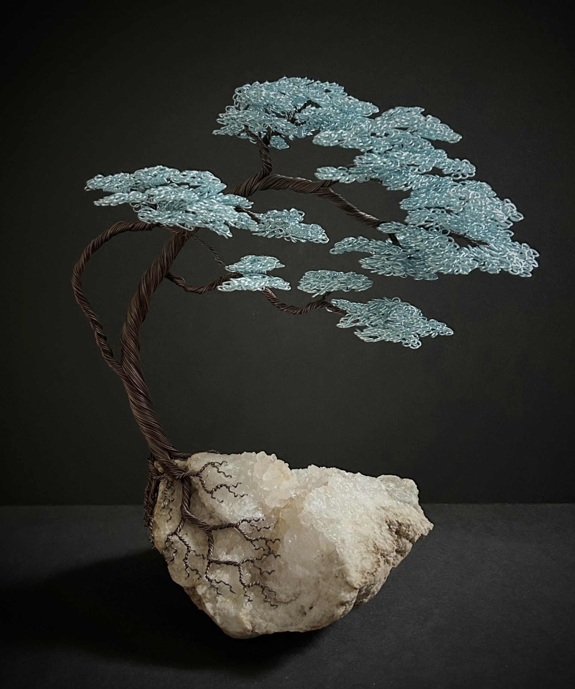 Sarah Stringfellow - Rutherford County Tennessee